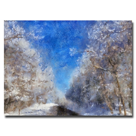 Lois Bryan 'Icy Road' Canvas Art,22x32